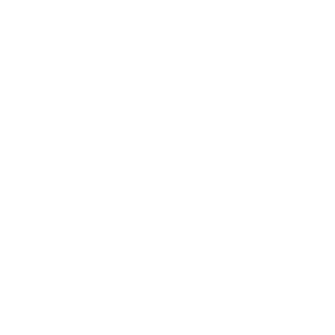 Consent Status Icon